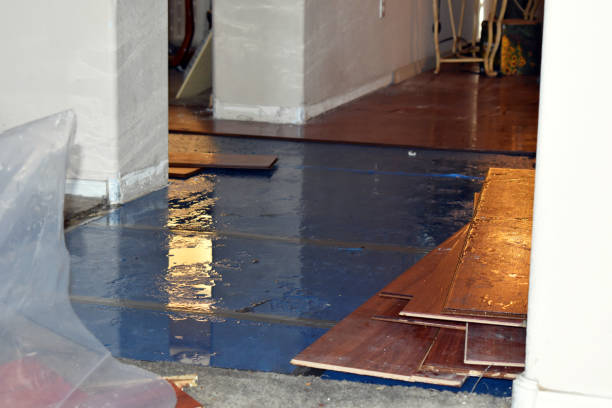Professional Basement Flood Cleanup technician working in Newton, IL